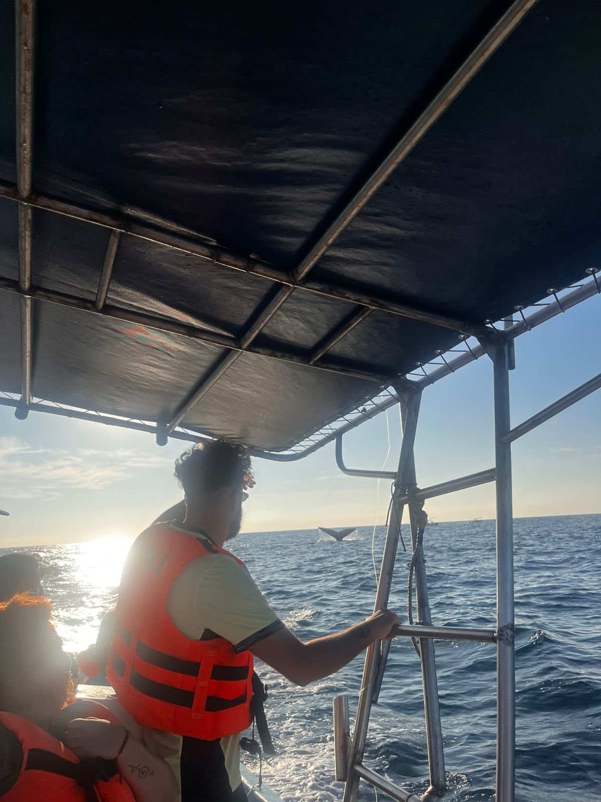 Tour marino Puerto Escondido