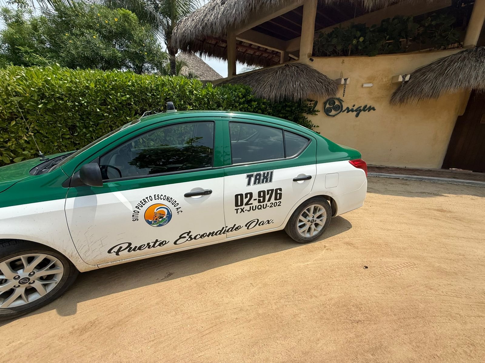 Playa Palmarito liberación de tortugas